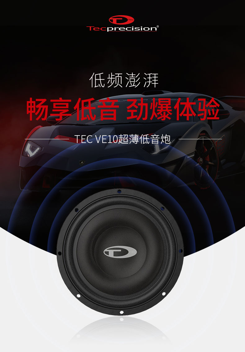TEC十寸低音炮VE10