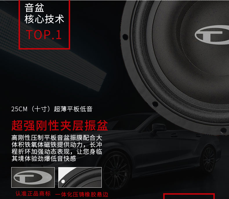TEC十寸低音炮VE10