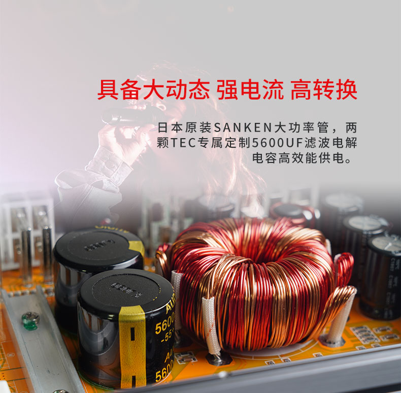 TEC 圣骑士 KN100.6