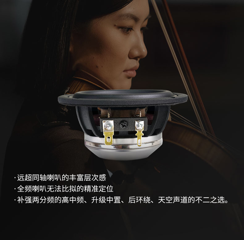 TEC爱神点声源VE3.2