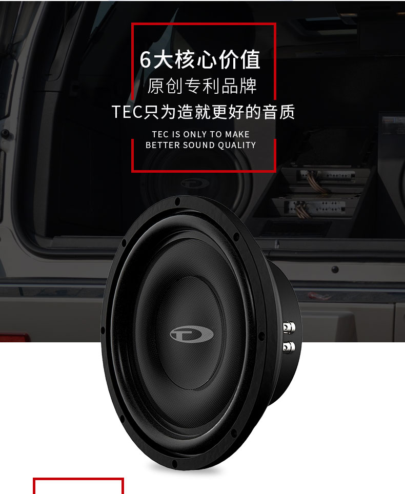 TEC十寸低音炮VE10