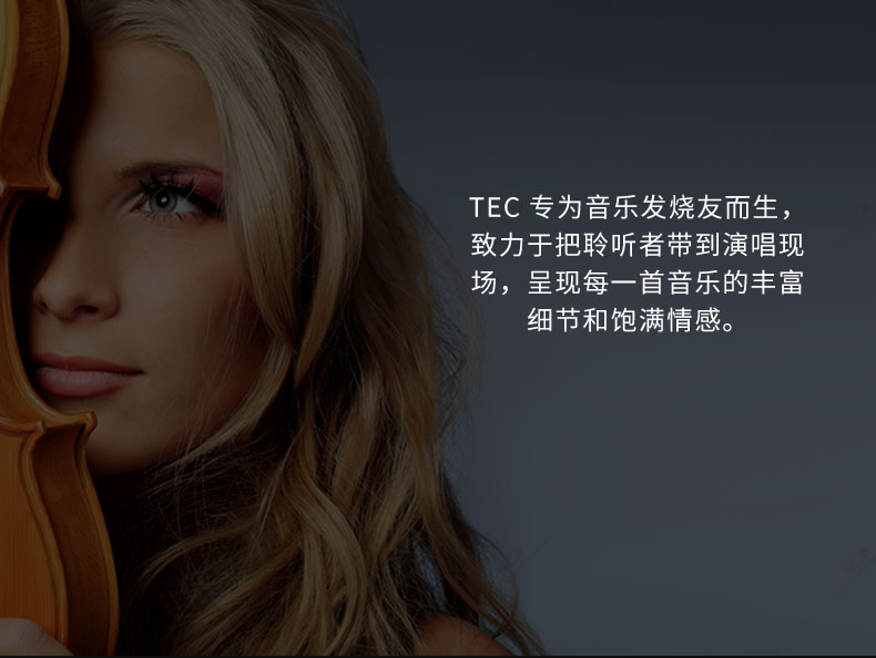 TEC 12路纯DSP